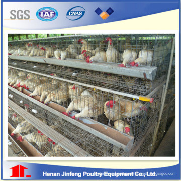 Geflügelkäfige für Hühnerfarm